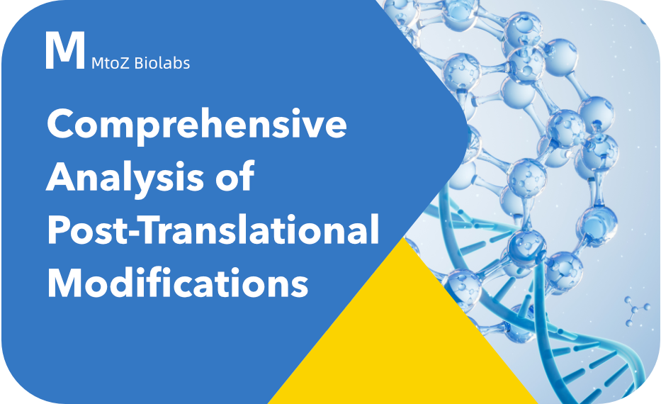 Comprehensive Analysis of Post-Translational Modifications
