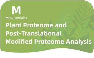 Plant Proteome and PTM Proteome Analysis
