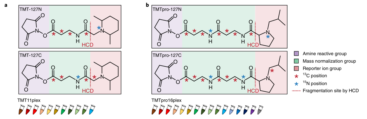 tmt-based-quantitative-proteomics-analysis-service1