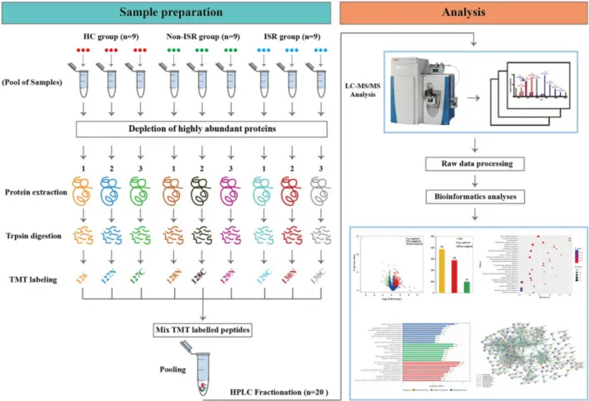 tmt-based-quantitative-proteomics-analysis-service2