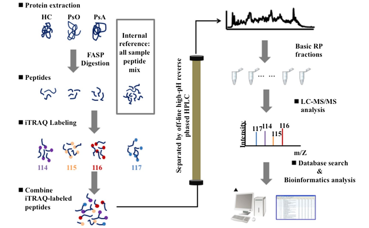 itraq-based-quantitative-proteomics-analysis-service2