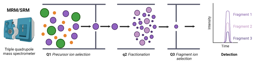 srm-mrm-targeted-proteomics-analysis-service1.png
