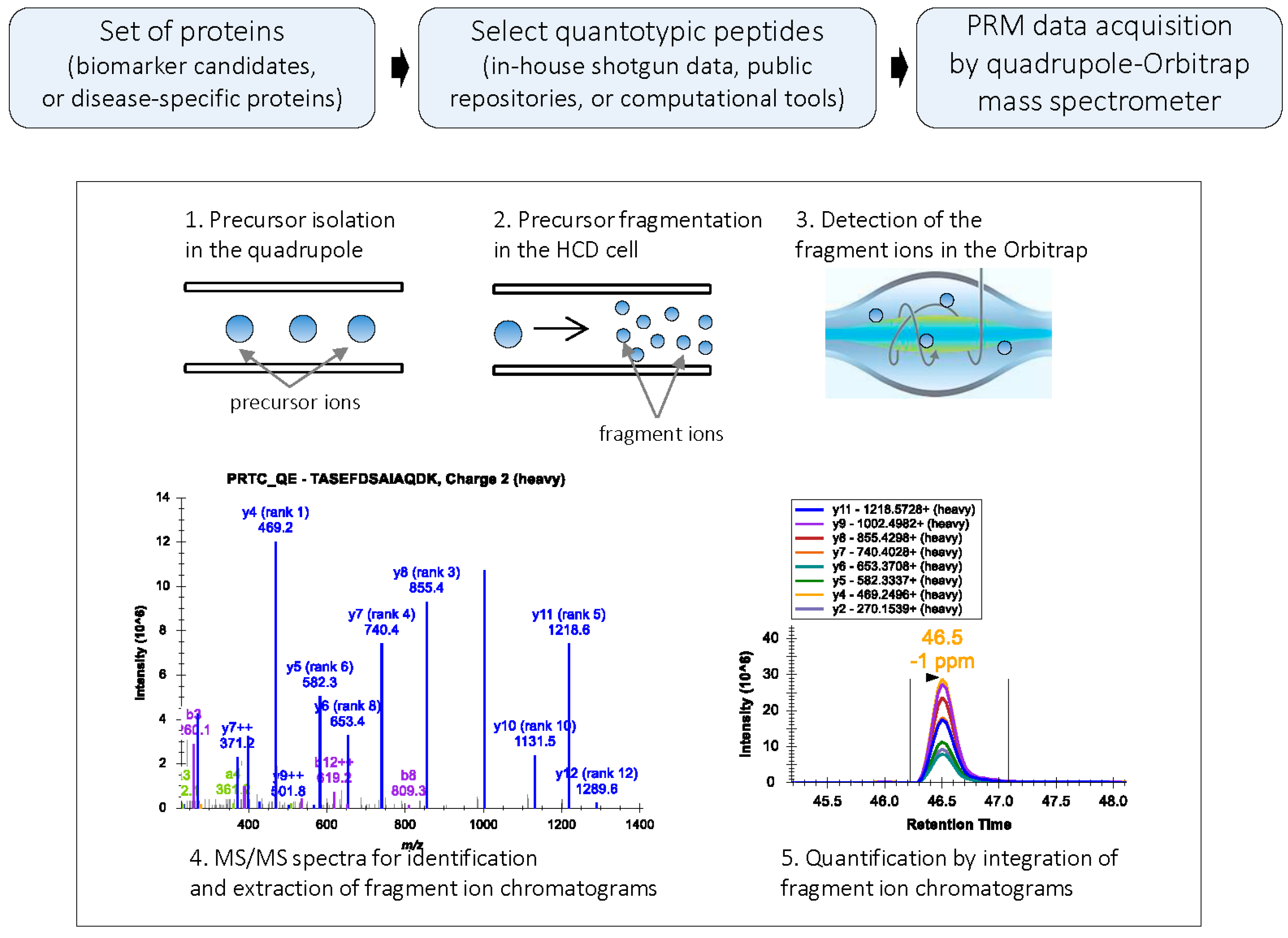 prm-targeted-proteomics-analysis-service1.png