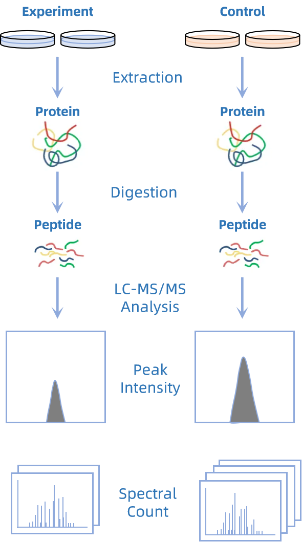 label-free-quantitative-proteomics-analysis-service1