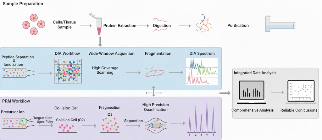 dia-prm-targeted-proteomics-services1.jpg