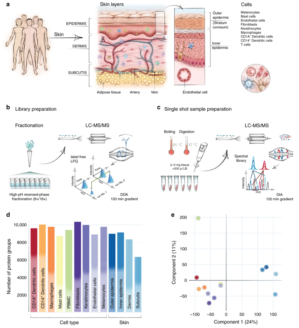 skin-proteomics-solutions1
