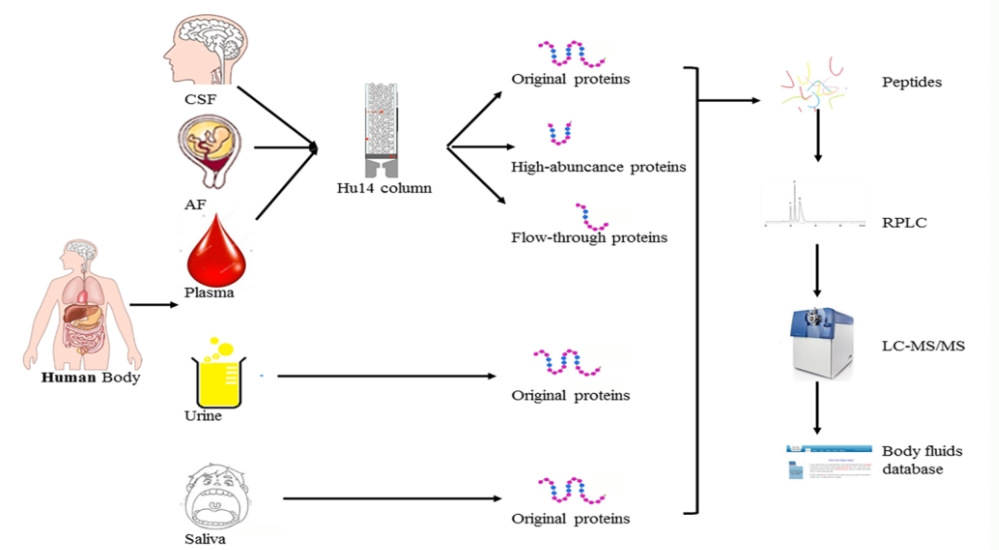 body-fluid-proteomics-solutions1.png