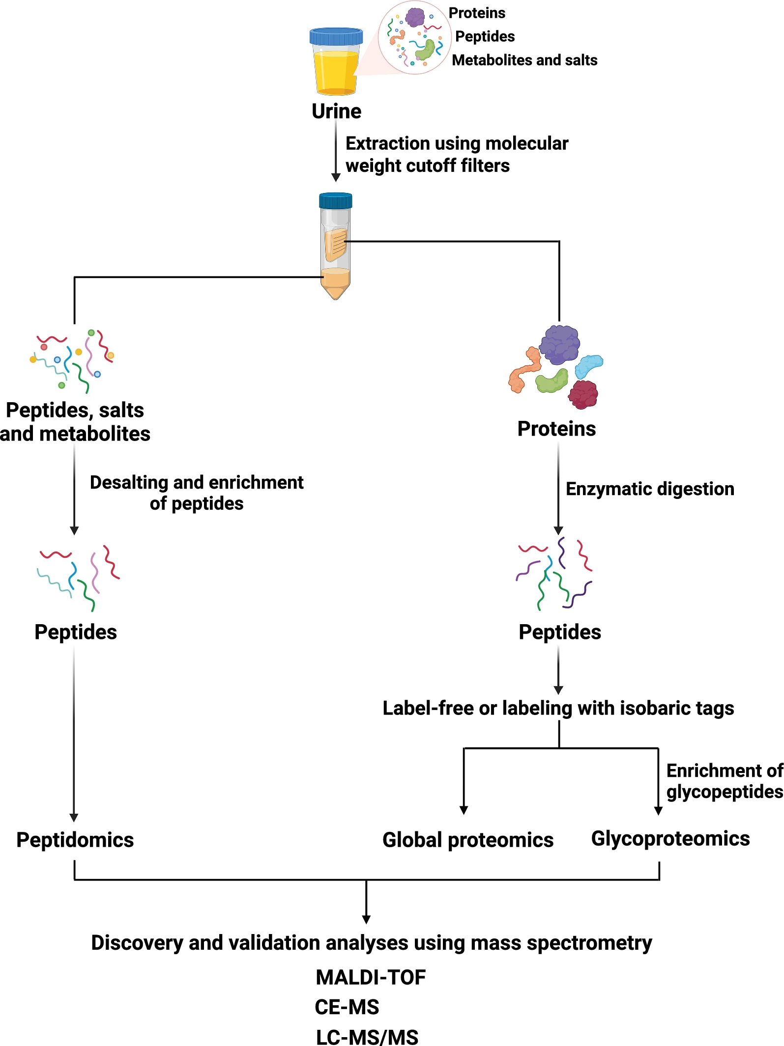 urine-proteomics-solutions1.png