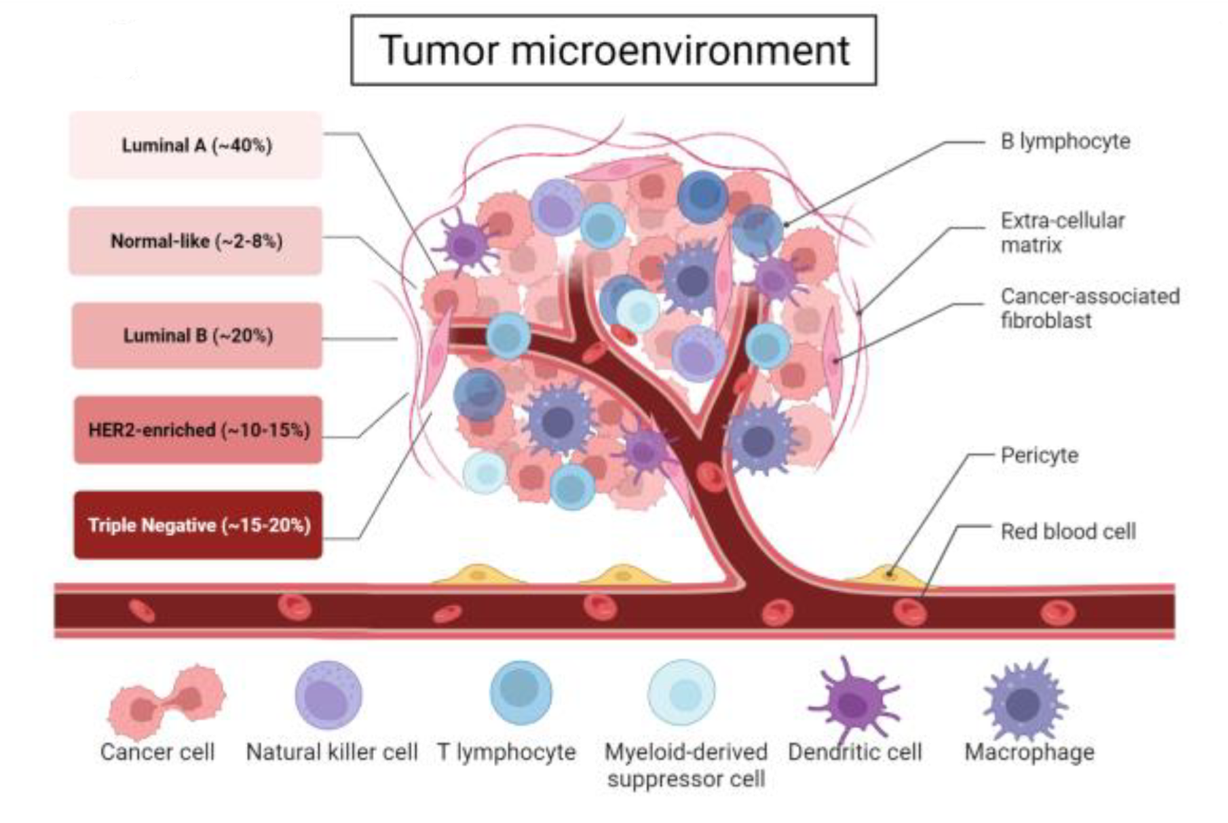 tumor-proteomics-solutions1.png