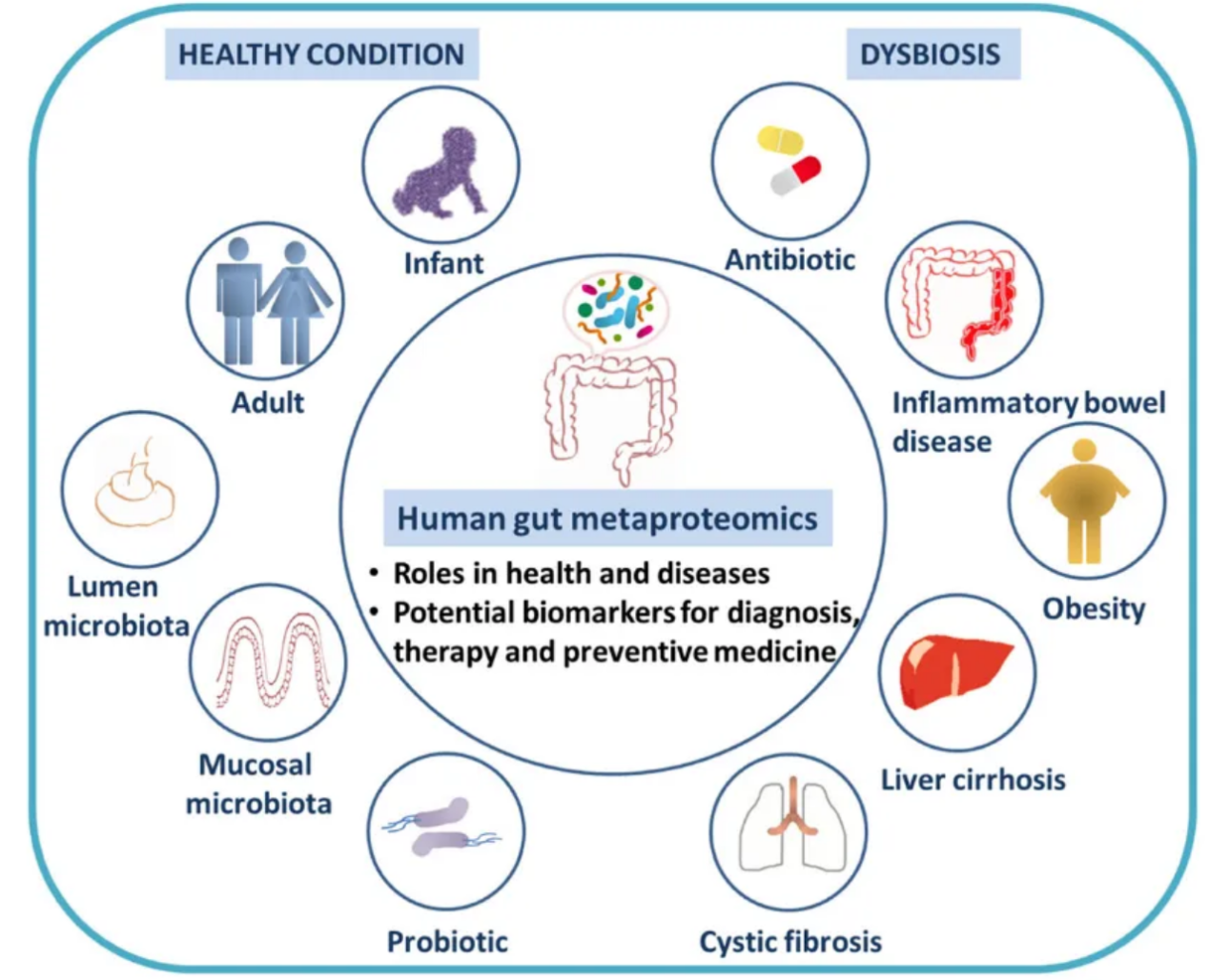 fecal-proteomics-solutions1