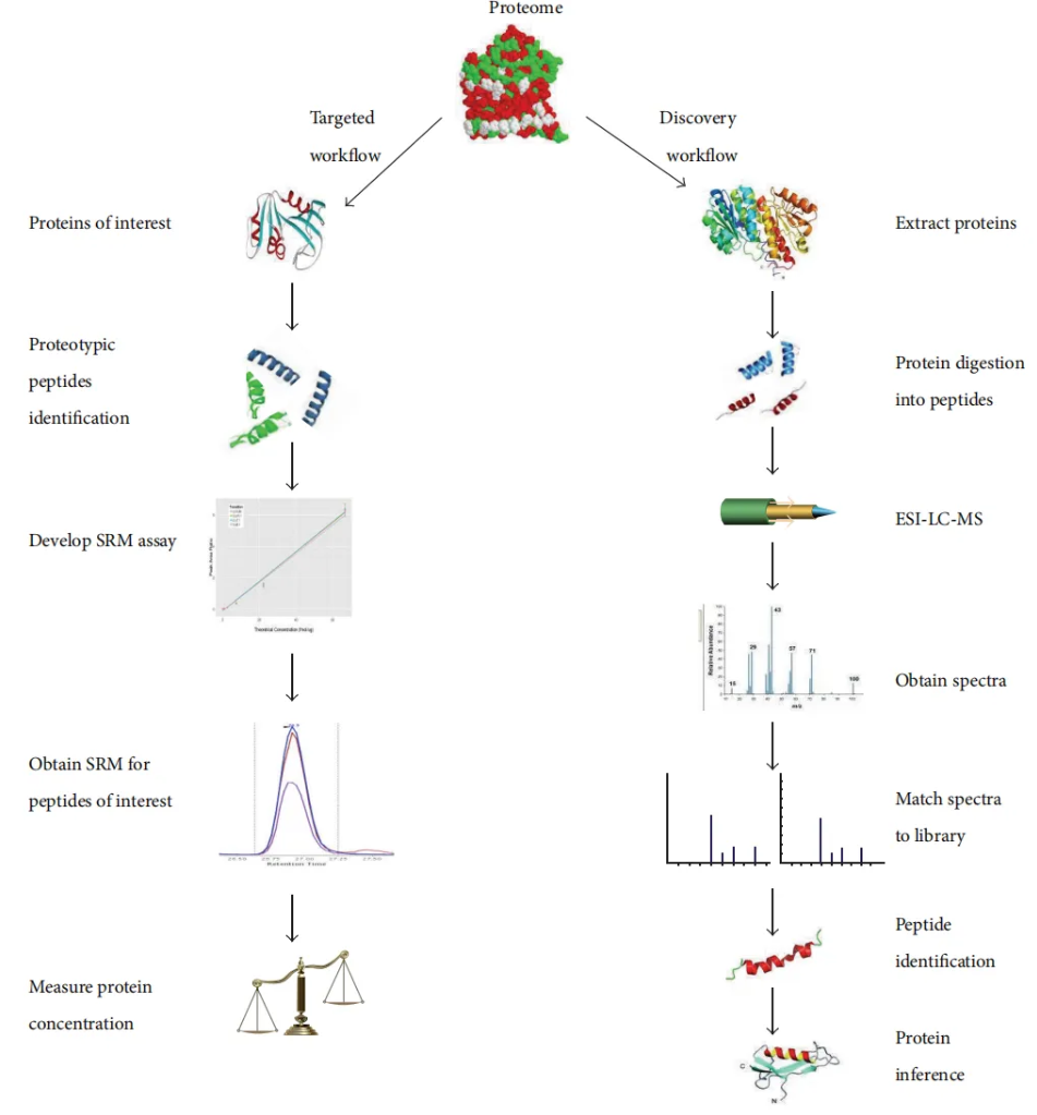 discovery-proteomics-service1