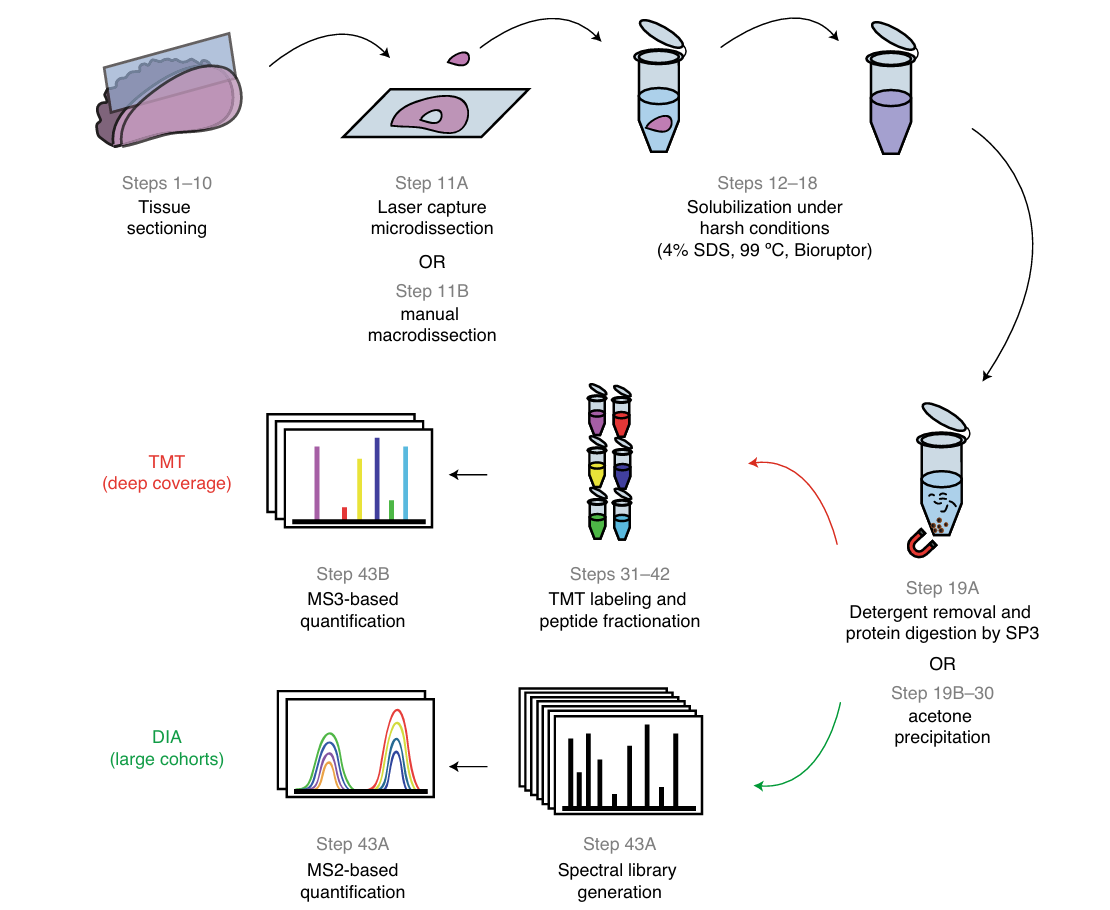 ffpe-tissue-proteomics-service1
