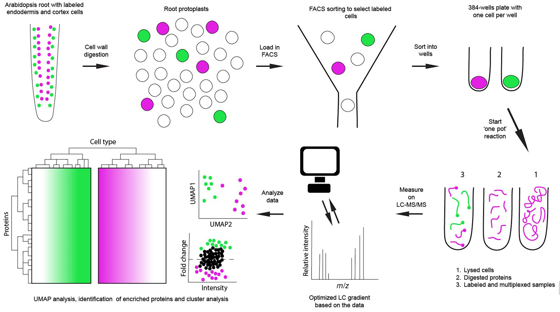 2001582472448503808-plant-single-cell-proteomics-service1.jpg
