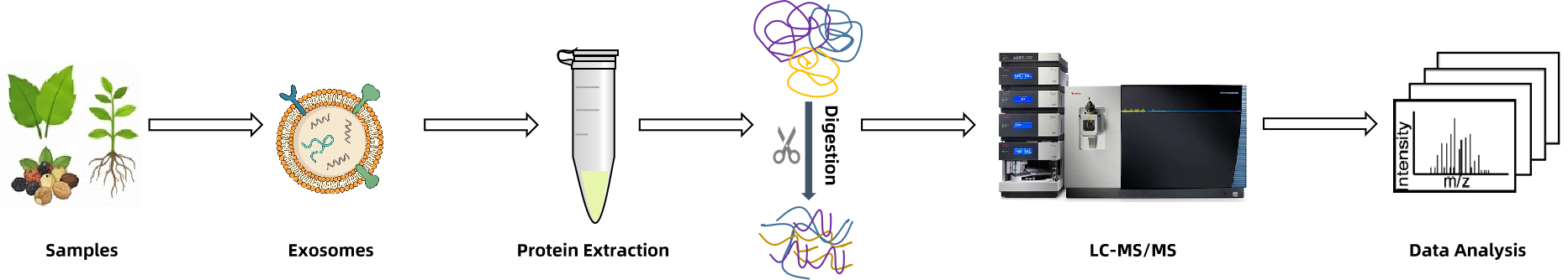 2001585242236841984-plant-exosome-proteomics-service1.png