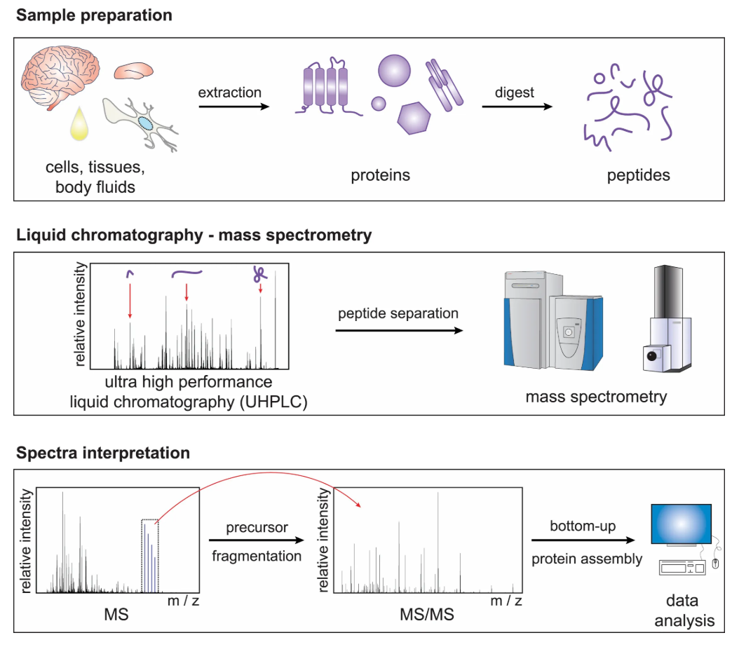 neuroproteomics-research1