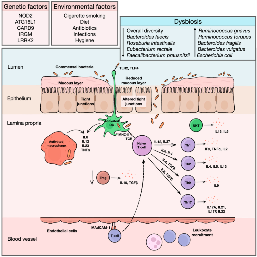 inflammatory-diseases-research1
