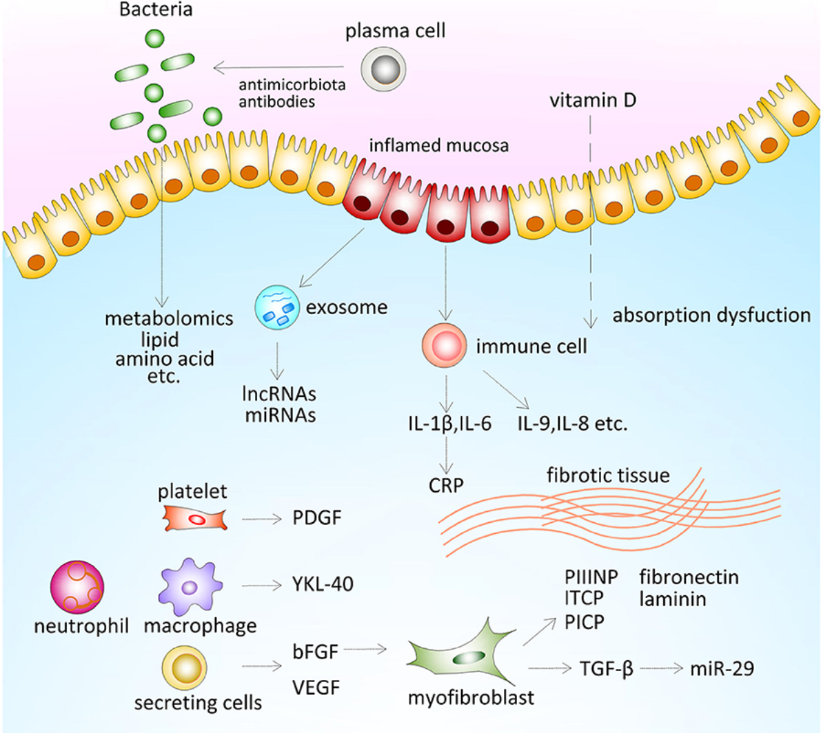 inflammatory-diseases-research2