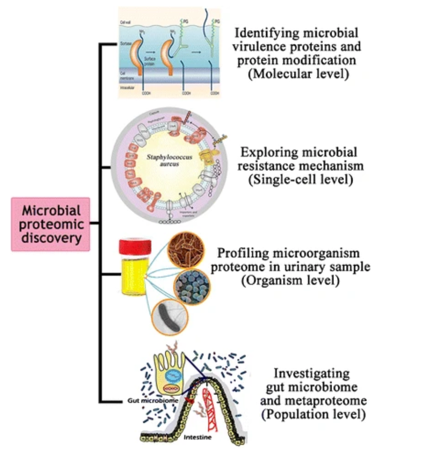 microbial-research1