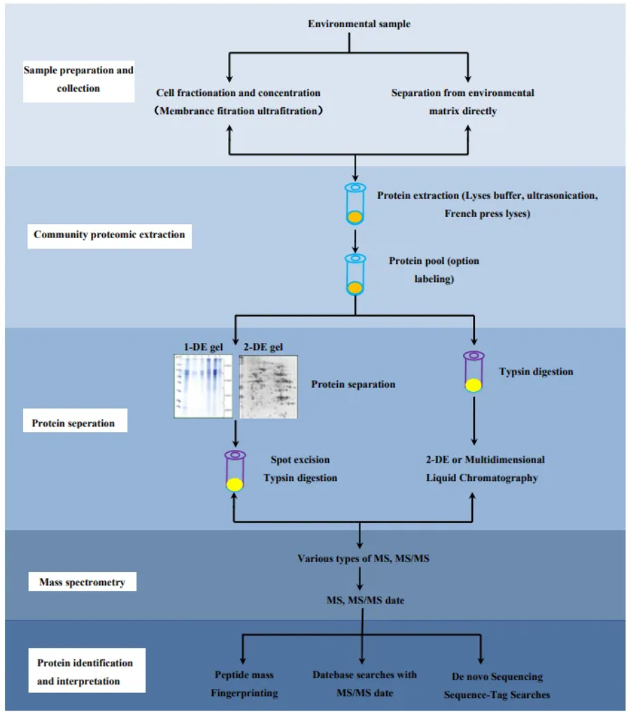 microbial-research2