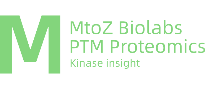 https://file.brightmindcrm.com/pro/bt-crms-info/20250904/config/1963517985319145472-KinaseInsight.png