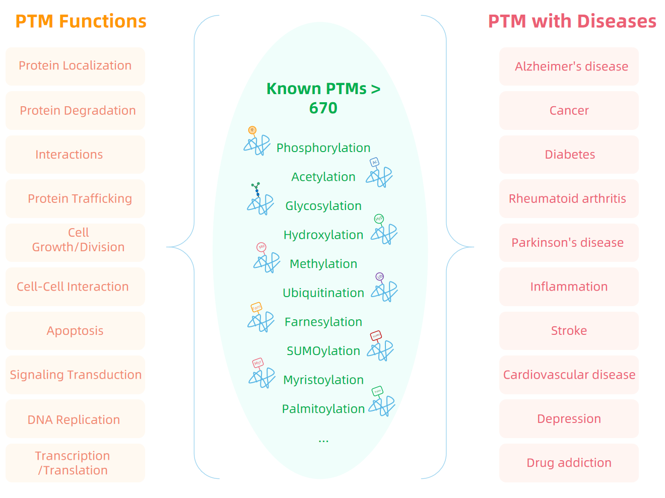 1968550611826364416-post-translational-modifications-in-disease-research1.PNG