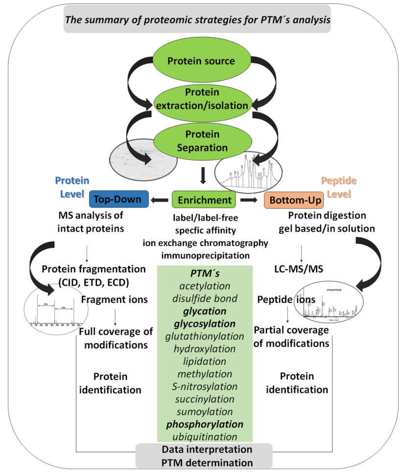 1968583409069051904-post-translational-modifications-in-drug-discovery1.PNG