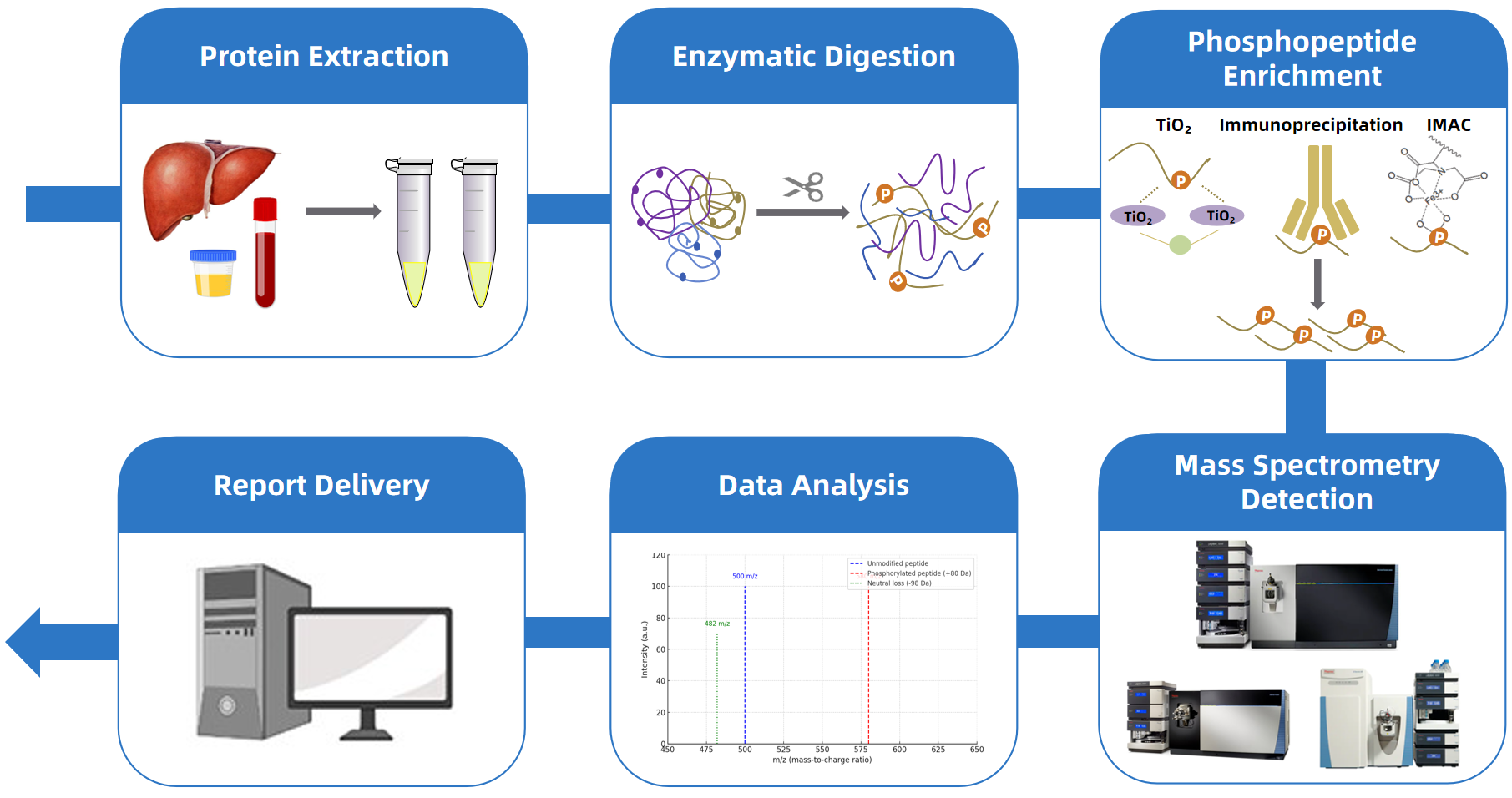 1968948891336953856-multi-channel-phosphorylated-protein-analysis-service1.png