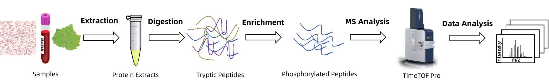 1969947907528970240-4d-phosphoproteomics-service1.png