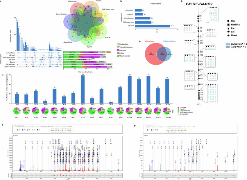 glycoproteomics-data-analysis-service1.png
