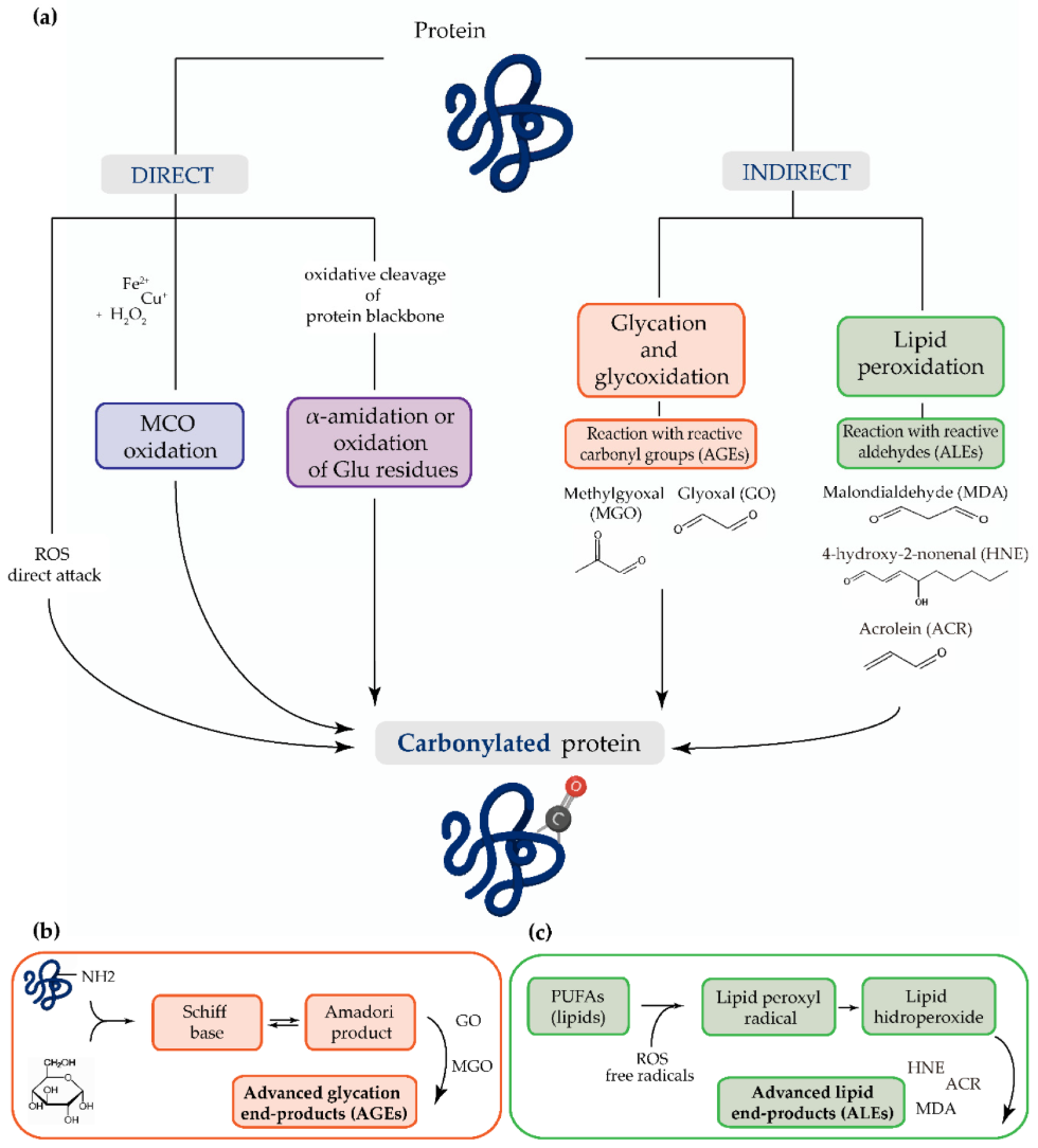 carbonylation-analysis-service1