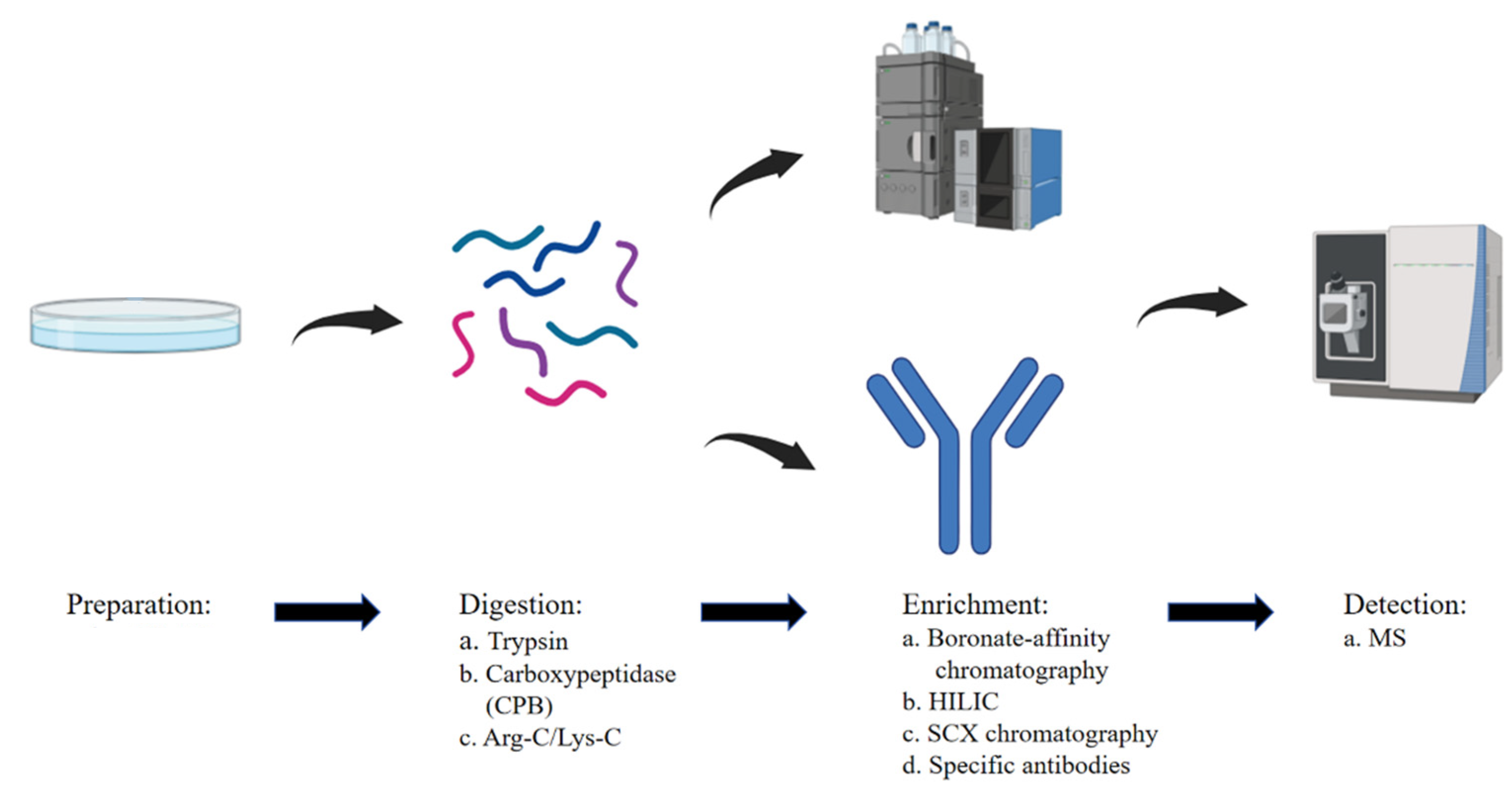 1971089555218616320-methylation-proteomics-service2.png