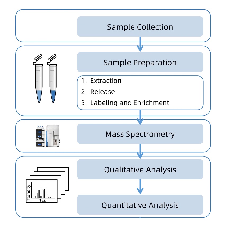 1970664833578291200-venom-n-glycan-quantitative-analysis-service1.jpg