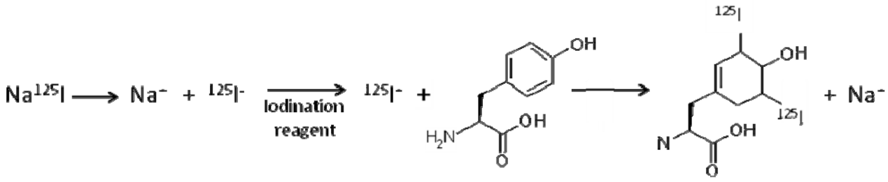 iodination-analysis-service1