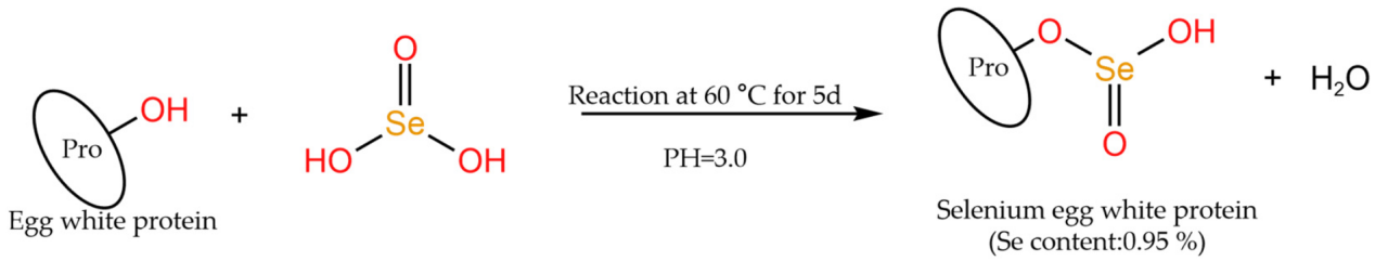 selenylation-analysis-service1