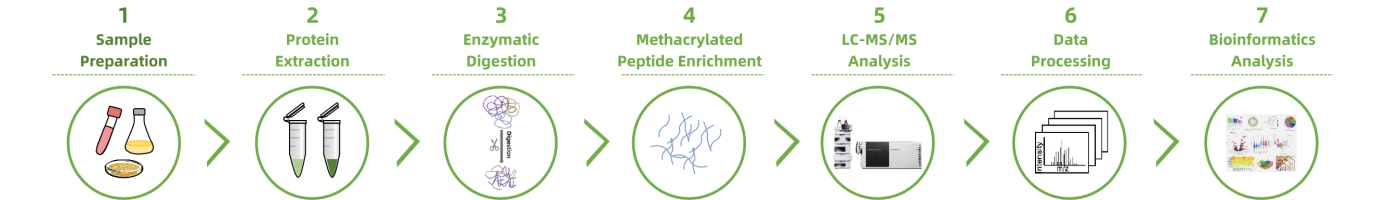 methacrylation-kmea-analysis-service2