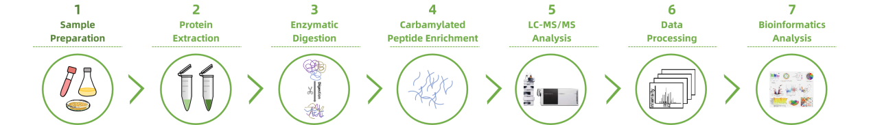 carbamylation-analysis-service3