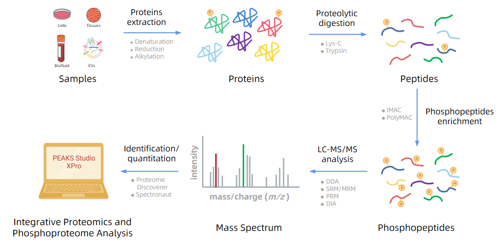 1972211073667420160-integrative-proteomics-and-phosphoproteome-analysis-services1.PNG