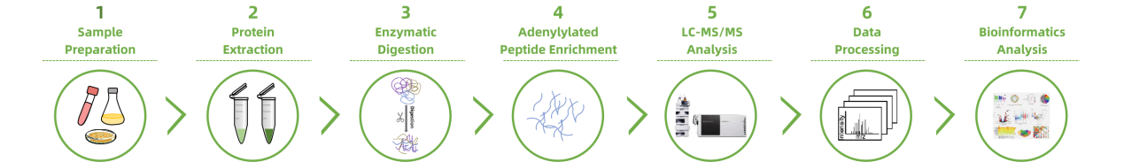 adenylylation-analysis-service2