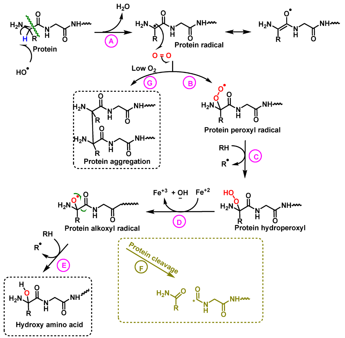 hydroxylation-analysis-service1