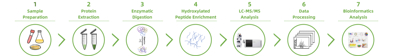 hydroxylation-analysis-service2