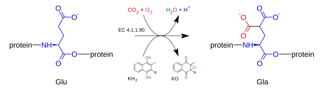 y-carboxylation-analysis-service1