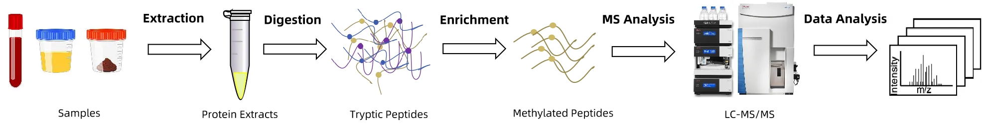 1976916013929320448-methylation-and-related-modifications-analysis-service1.jpg