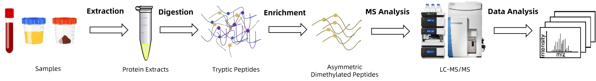 1972917421203902464-asymmetric-dimethylation-analysis-service2.jpg