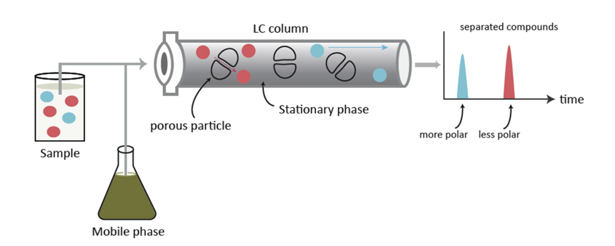 rplc-based-modified-peptide-enrichment-service1