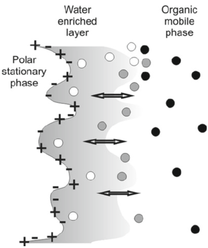 hilic-based-modified-peptide-enrichment-service1