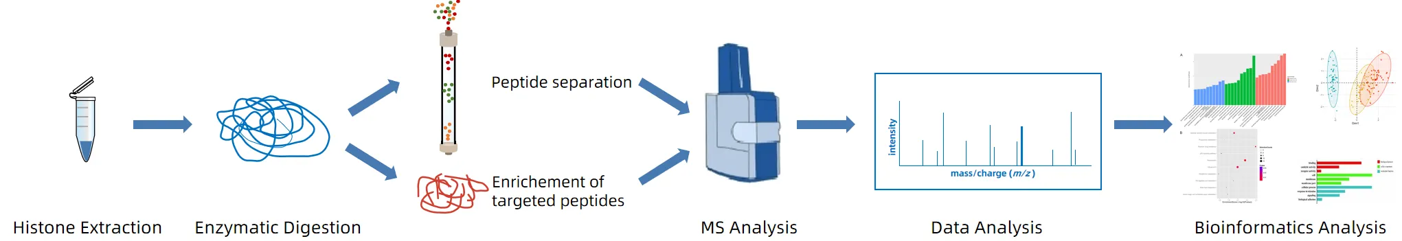 1976524806346625024-histone-methionylation-analysis-service1.png