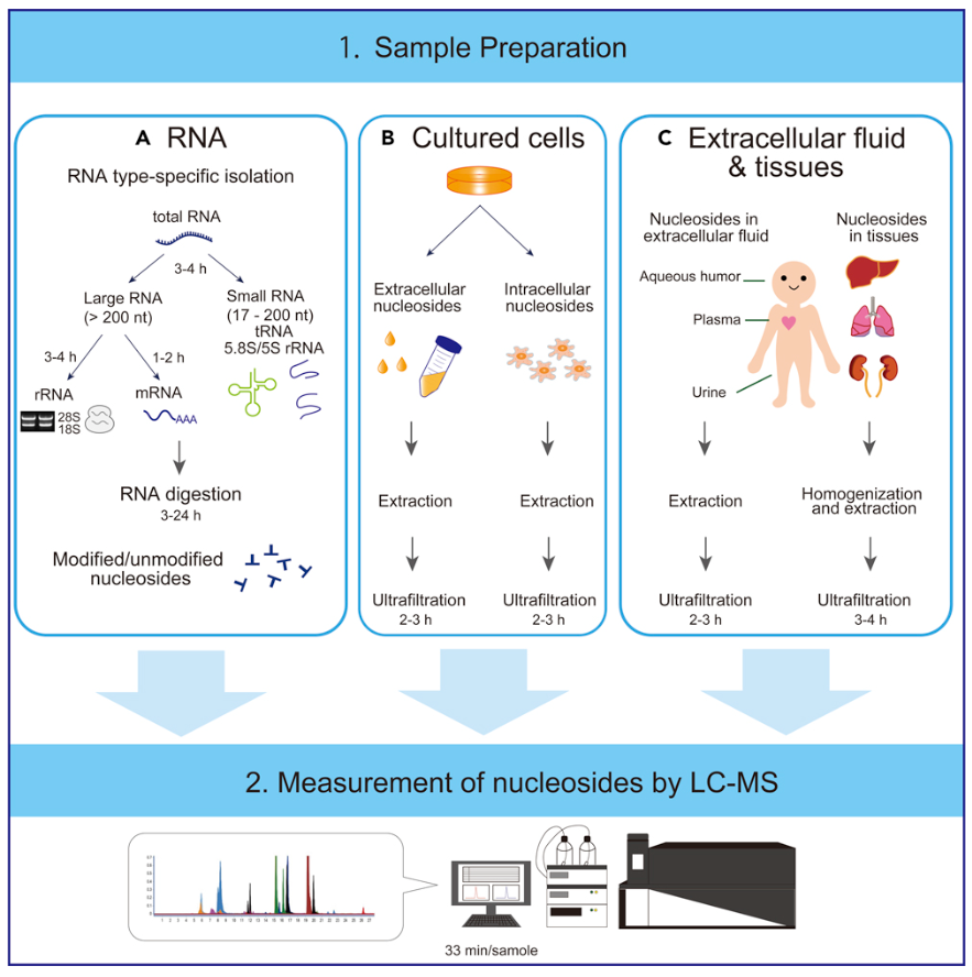 1977567445191872512-dna-rna-modification-analysis-service1.PNG