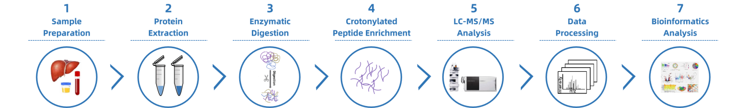 crotonylation-analysis-service2