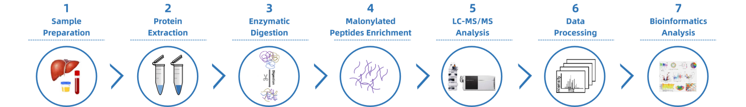 malonylation-analysis-service2