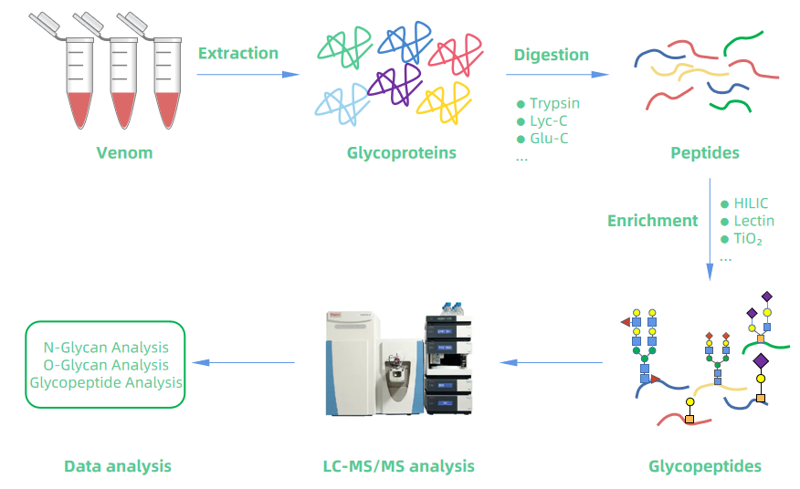1978743865951768576-venom-glycoproteomics-service1.PNG